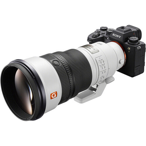 Sony FE 300mm f/2.8 GM OSS Telephoto Prime Lens for E-Mount Cameras - Professional Sports & Wildlife Photography