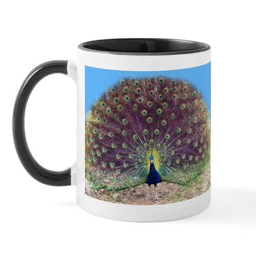 White/Black Inside - Pretty Peacock