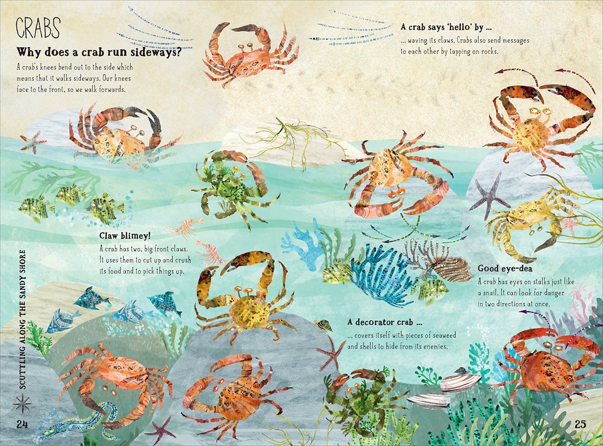 The Big Book of the Blue by Yuval Zommer - Ocean Wildlife Encyclopedia for Kids | Perfect for Homeschooling & Marine Biology Learning