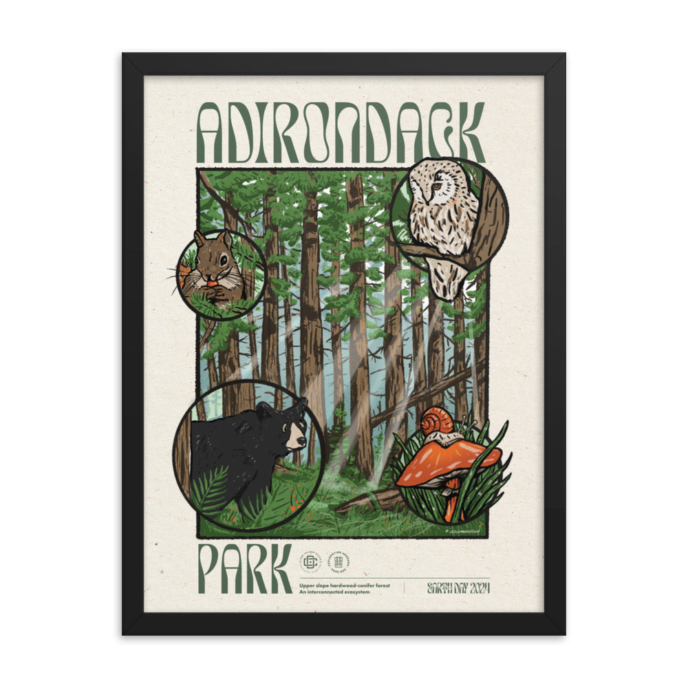 Adirondack Ecosystem Poster - 1st Edition | High-Quality Wall Art for Home, Office & Classroom Decor
