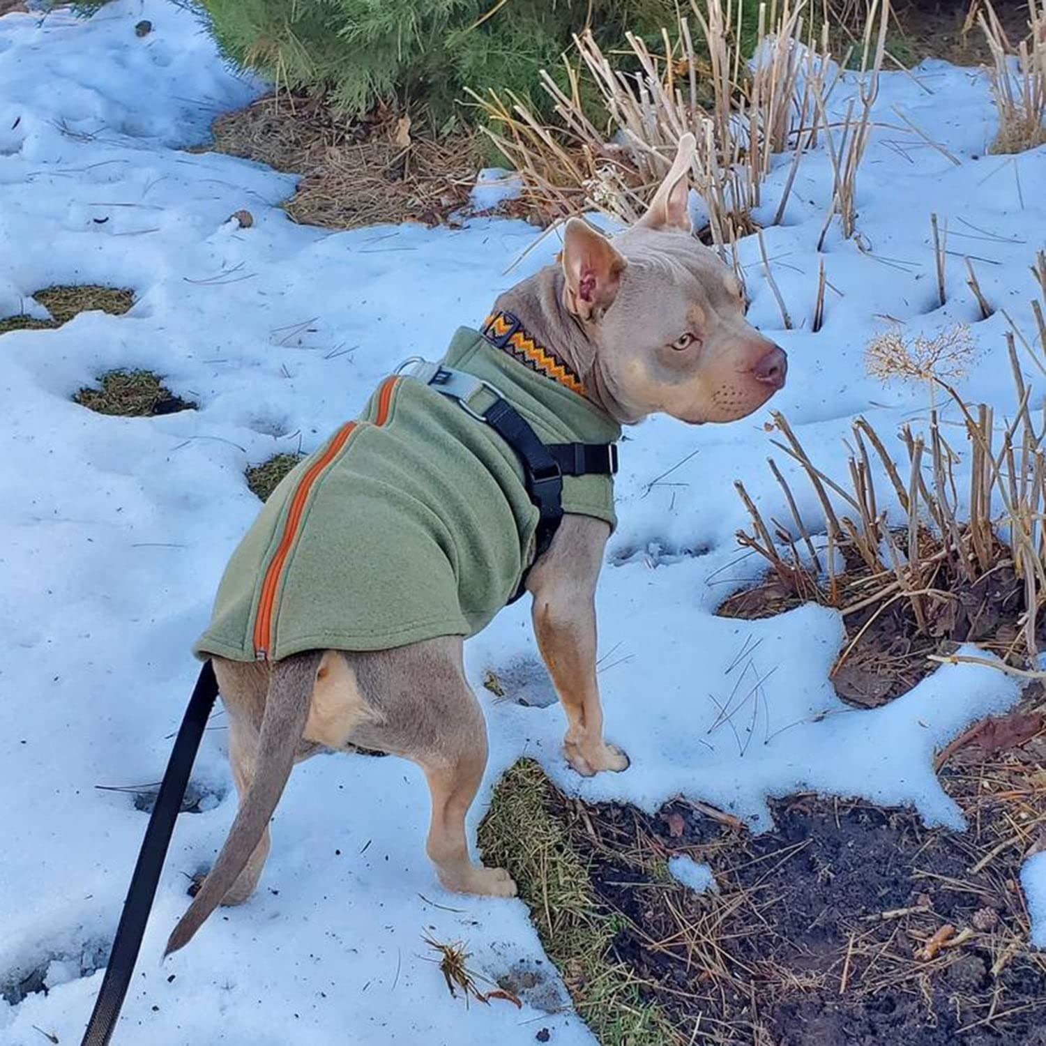 Gooby Zip-Up Microfiber Fleece Dog Sweater - Green, X-Large - Warm Double-Layered Soft Step-In Dog Jacket for Small & Medium Dogs - Winter Dog Coat for Cold Weather, Outdoor Walks & Indoor Comfort