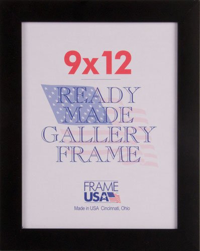 FRAME USA Simply Poly Series 9x12 Polystyrene Poster Frames (Black) - Lightweight & Shatterproof Picture Frames for Home, Office & Classroom Decor