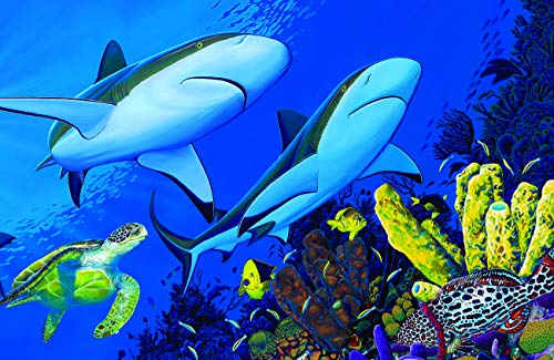 Shark Buddies