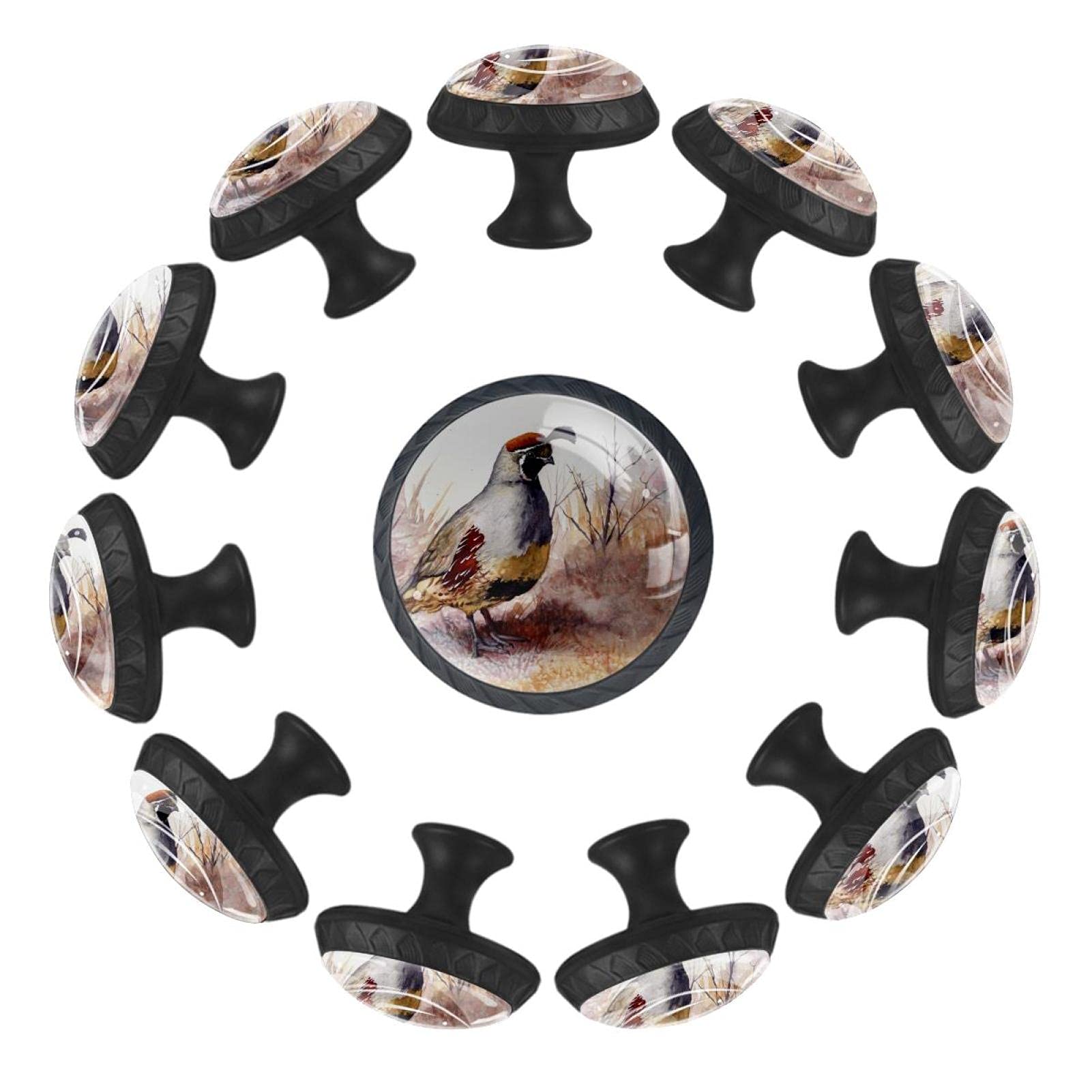 12 Pcs 35MM Crystal Glass Drawer Knobs - Watercolor Quail Design for Cabinets & Dressers - Home & Office Decor