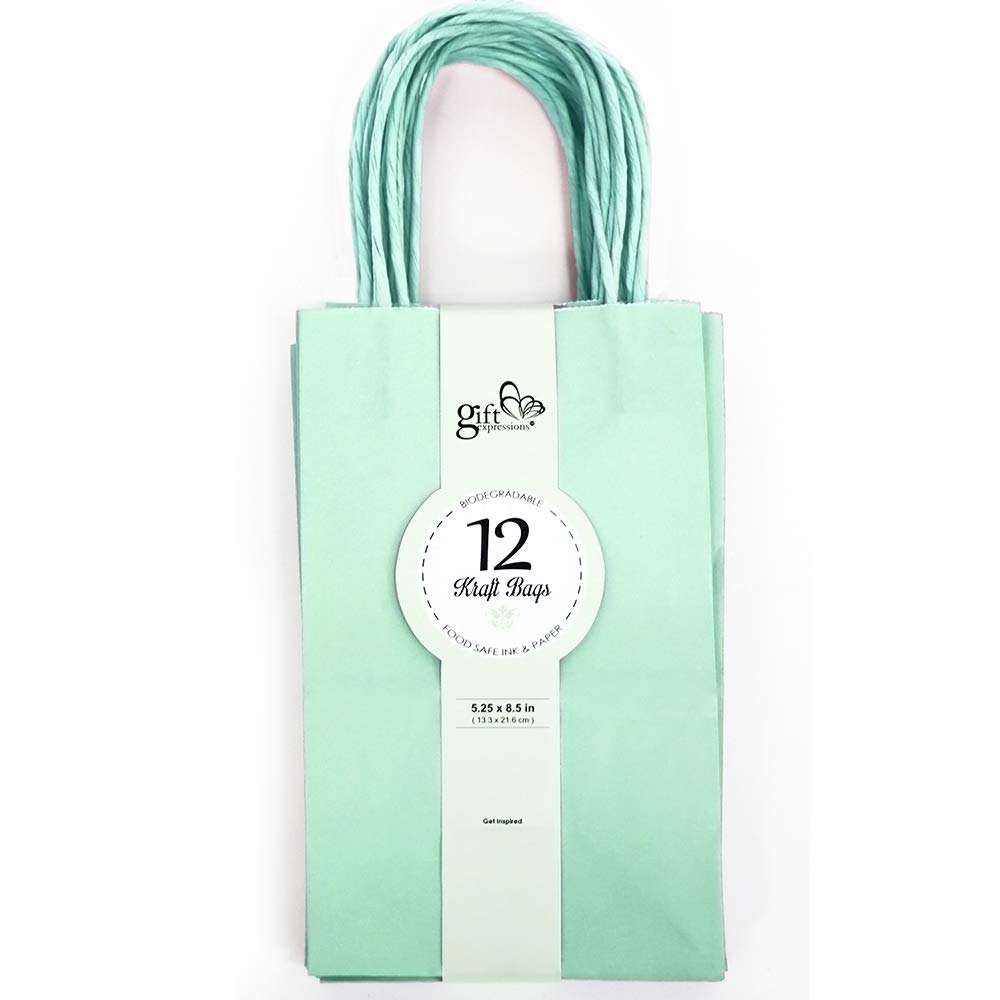 Premium Small Kraft Bags - 1 Box (480 Count) - Eco-Friendly Mint Colored Paper Bags for Retail, Parties & Gift Packaging