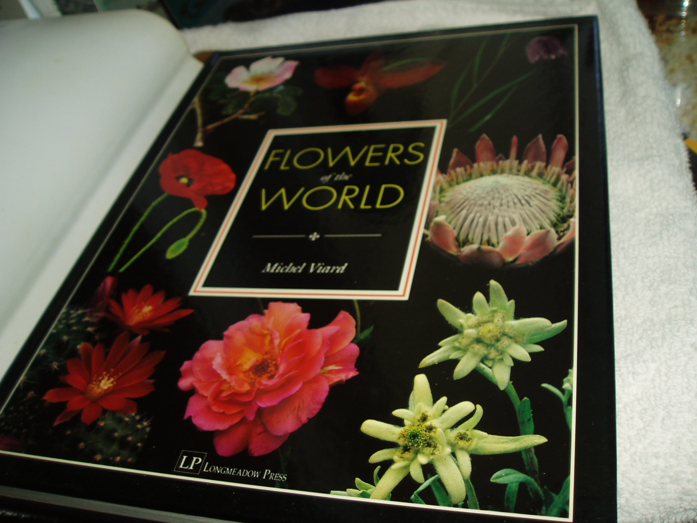 Beautiful Flowers of the World - Fresh Cut & Artificial Blooms for Home Decor, Wedding Bouquets & Gift Giving