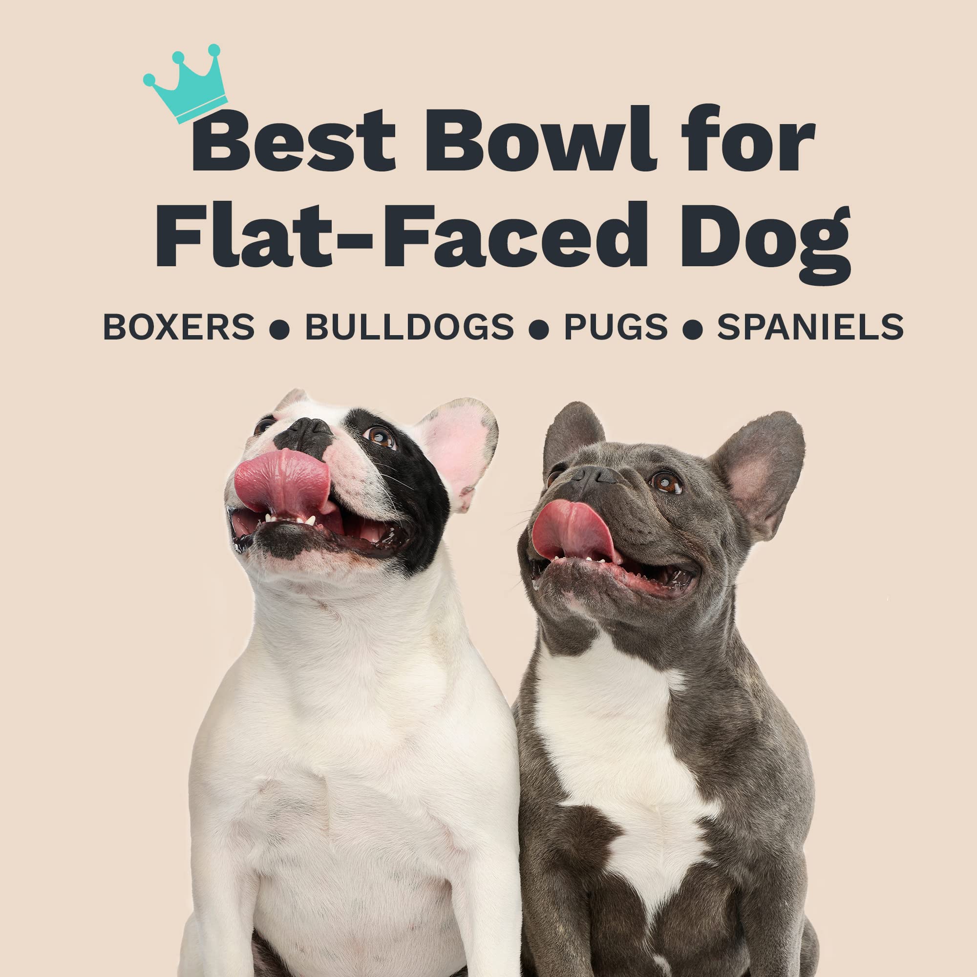 Premium Stainless Steel Elevated Dog Bowl - Slanted Design with Non-Slip Base for Mess-Free Feeding | Reduces Bloating & Improves Digestion | Food-Grade Safe Pet Dish for Medium Dogs | Perfect for Home, Travel & Outdoor Use | Ships from USA
