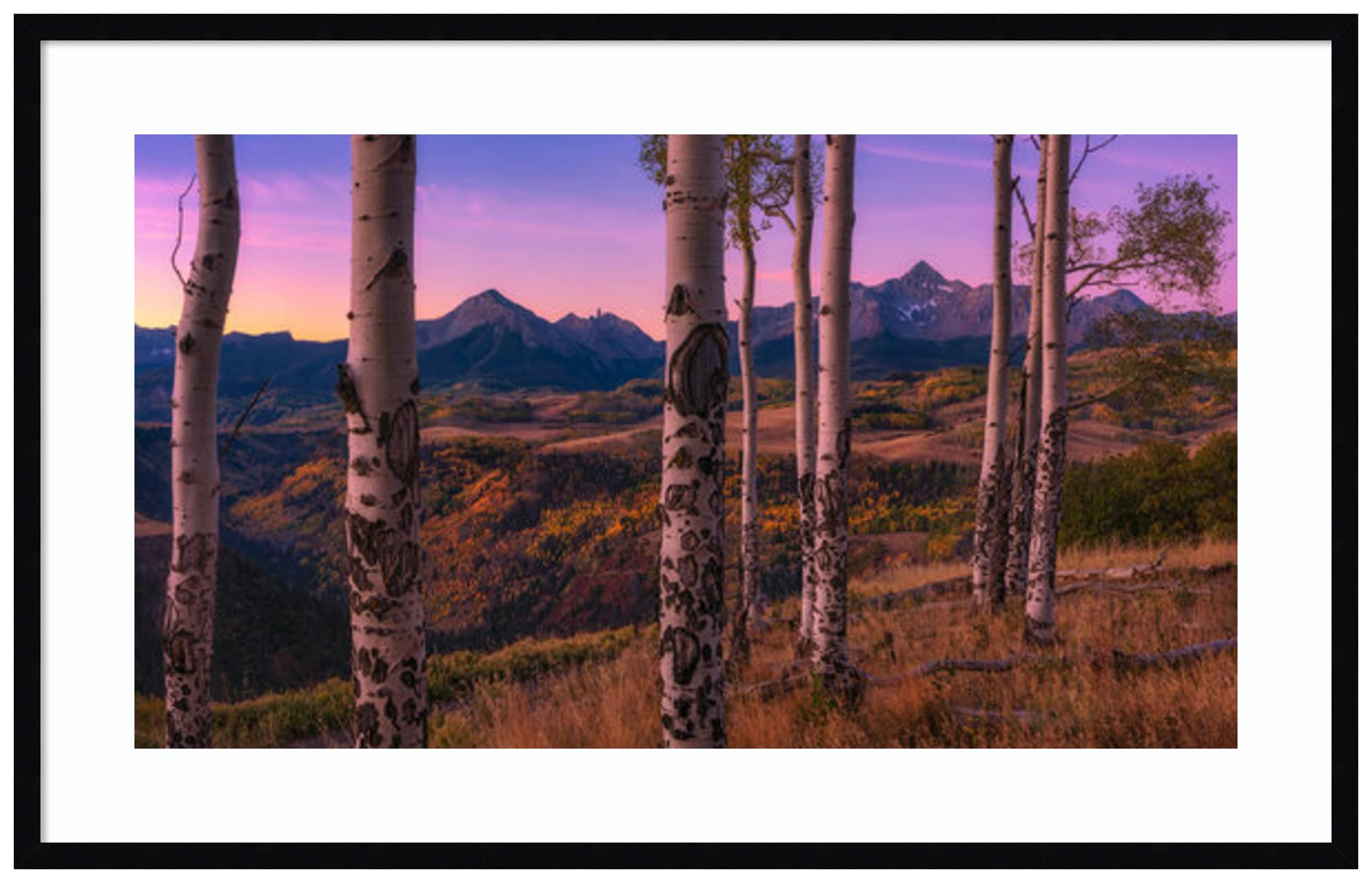 Amanti Art Wood Framed Wall Decor - Mei Xu Aspen Frames (41x26 Inches) - Svelte Noir Black Frame - Large Size Canvas Print for Living Room, Bedroom & Office Wall Art