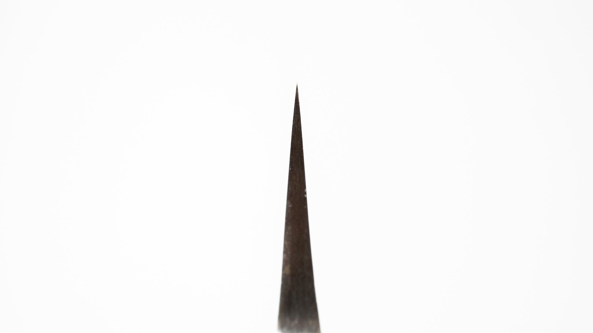 Premium Jiro Tsuchime Sujihiki 210mm Japanese Slicing Knife with Taihei Tagayasan Handle (#419) - Perfect for Sushi, Sashimi & Meat Carving