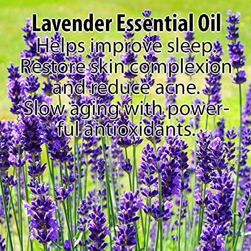 Simply Radiant Beauty Glimmer Goddess Organic Lavender Night Cream - Vegan Face Moisturizer for All Skin Types | 24-Hour Hydration, Reduces Stretch Marks | Natural Skincare (2 oz) - Perfect for Nighttime Routine & Dry Skin Relief