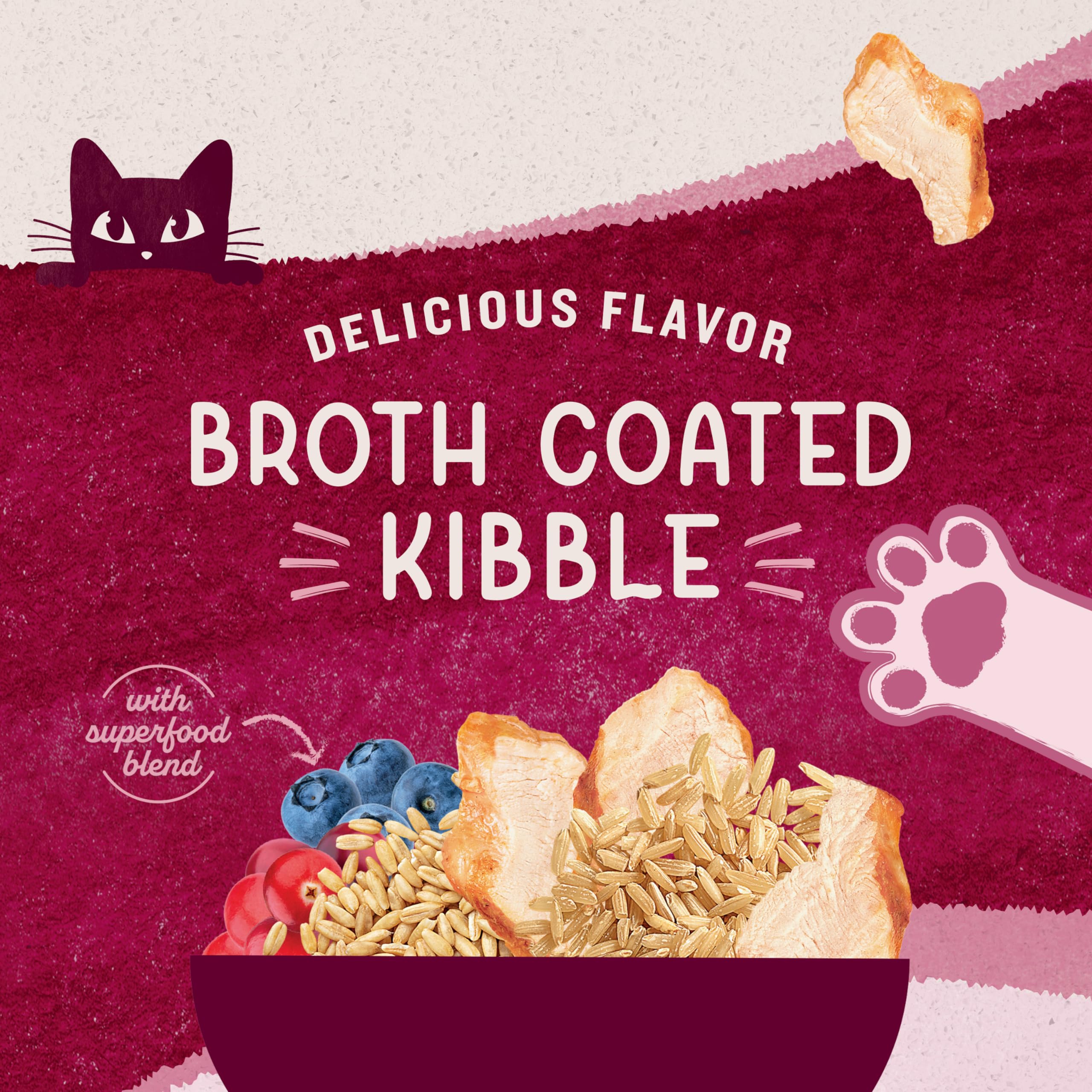 Natural Balance Original Ultra Chicken Meal & Salmon Meal Dry Cat Food - Whole Body Health for Kittens to Adult Cats - 15 lb Bag - Perfect for Indoor & Outdoor Cats