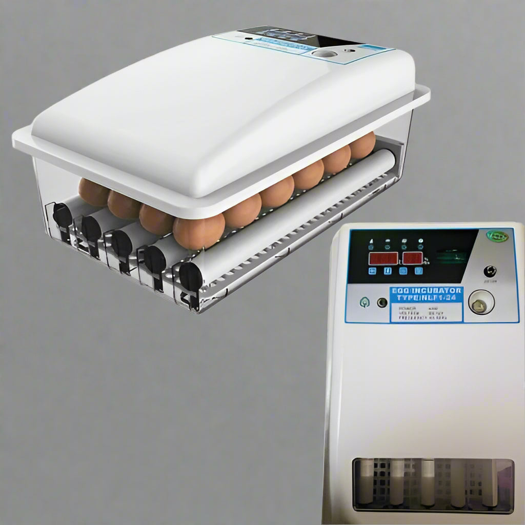 12V & 110V Automatic Egg Incubator - Digital Poultry Hatcher with Dual Power for Chicken, Duck & Bird Eggs | Perfect for Home Farming & Hobbyists | SKU: 627108