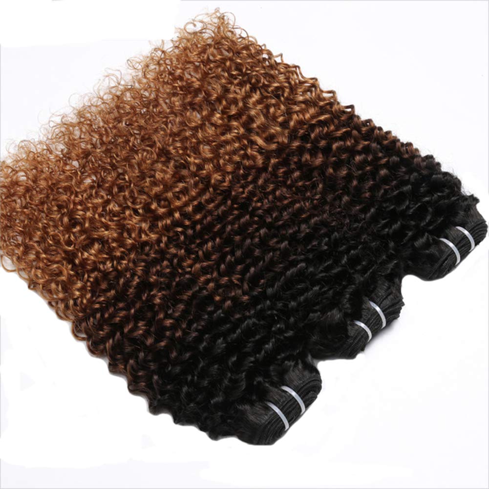 YanT HAIR 8A Grade Peruvian Virgin Hair Kinky Curly Human Hair Weave Bundles 22 24 26 Inches #T1b/4/30 Color - Perfect for Protective Styles, Weaves, and Natural Hair Extensions