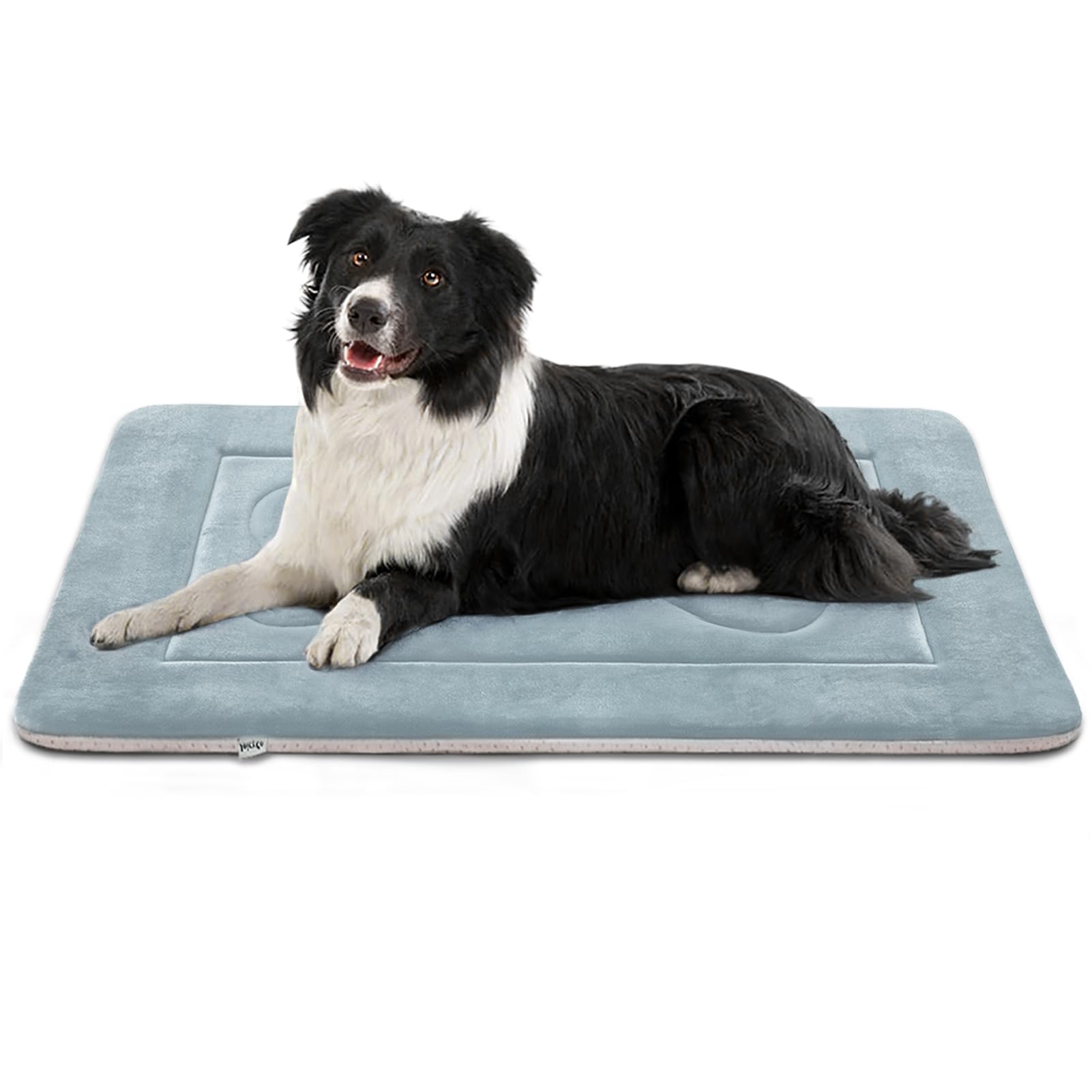 JoicyCo Orthopedic Dog Bed for Medium Dogs - 36 Inch Washable Crate Pad with Non-Slip Bottom, Comfortable Pet Bed & Kennel Mat for Dogs and Cats - Perfect for Crates, Floors & Travel Use