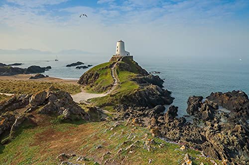 1000 Piece Wooden Jigsaw Puzzle - Lighthouse Scenery Puzzle for Adults & Kids - Family Game Night, Stress Relief & Home Decor