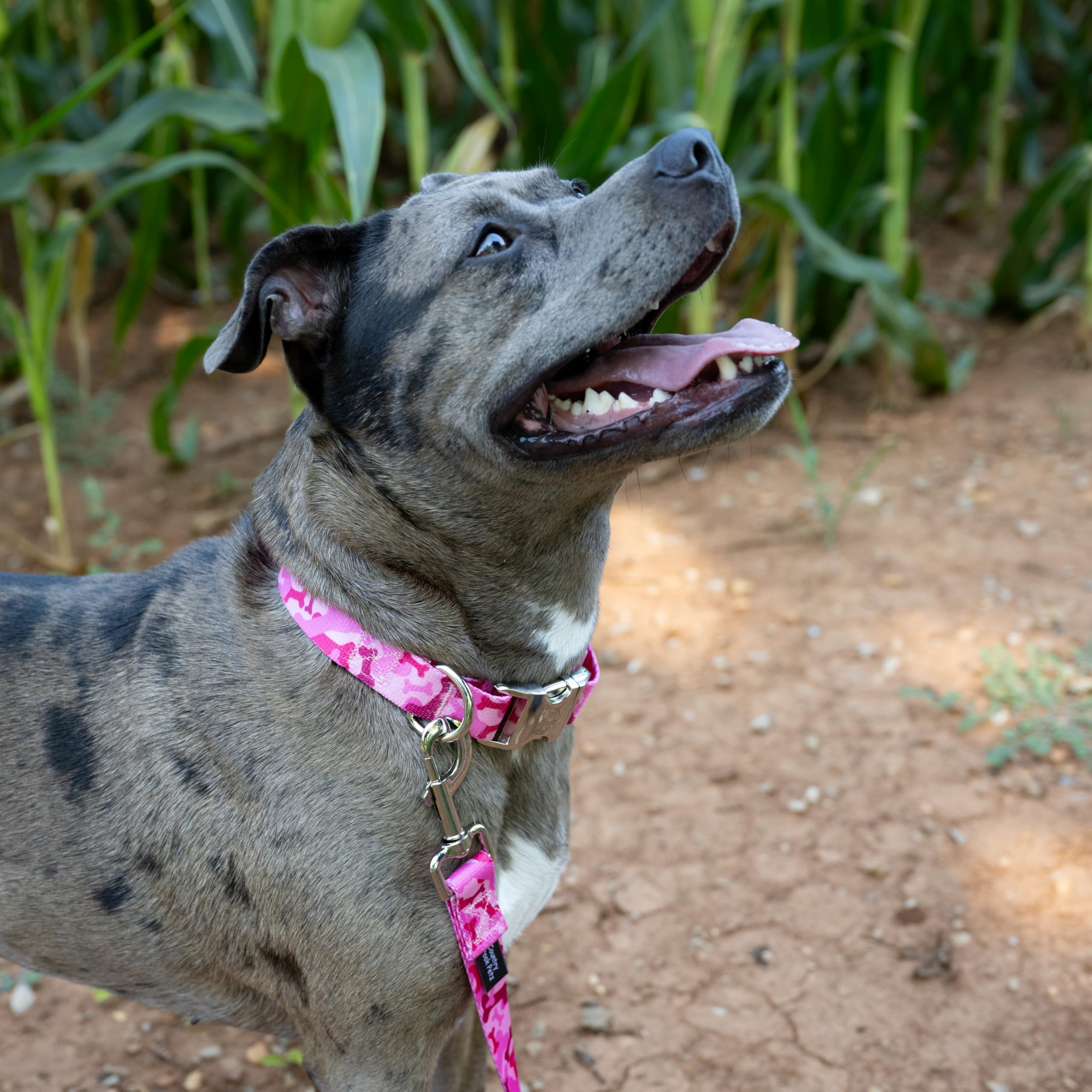 Country Brook Design® 1 Inch Pink Camo Dog Leash - 6 Feet Strong Nylon Pet Lead for Walking, Training & Outdoor Adventures
