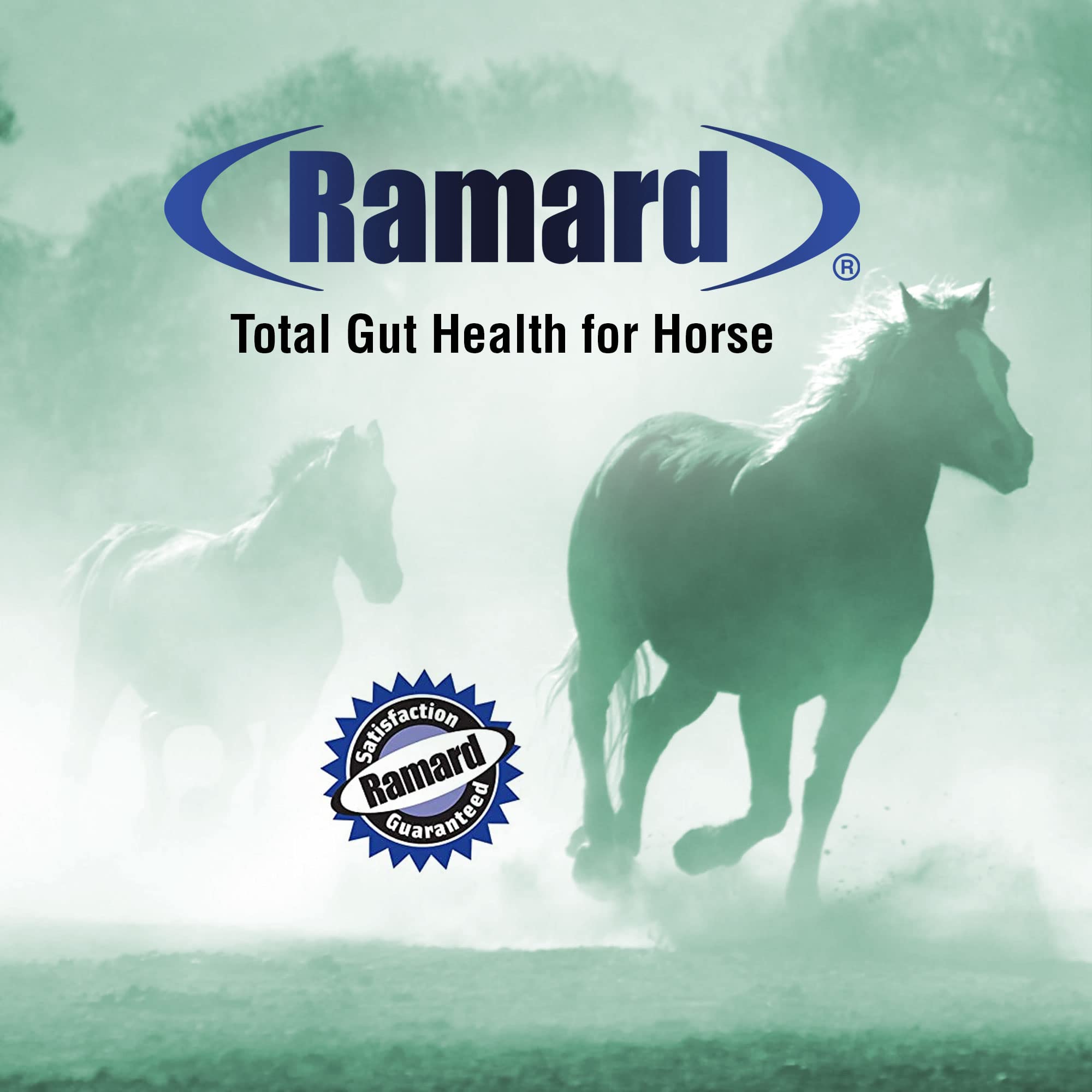 Premium Equine Probiotics for Horses - Total Gut Health Digestive Support Supplement with Vitamins | Gastric Relief & Optimal Digestion | 1.12lb (30-Day Supply) | Ideal for Performance Horses, Senior Horses & Digestive Issues