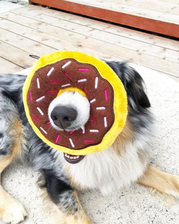 Squeaky Chocolate Plush Donut Dog Toy - Interactive Chew Toy for Small & Large Dogs - Fun Squeaker Sound for Playtime & Training - Perfect for Fetch, Cuddles & Teething Puppies