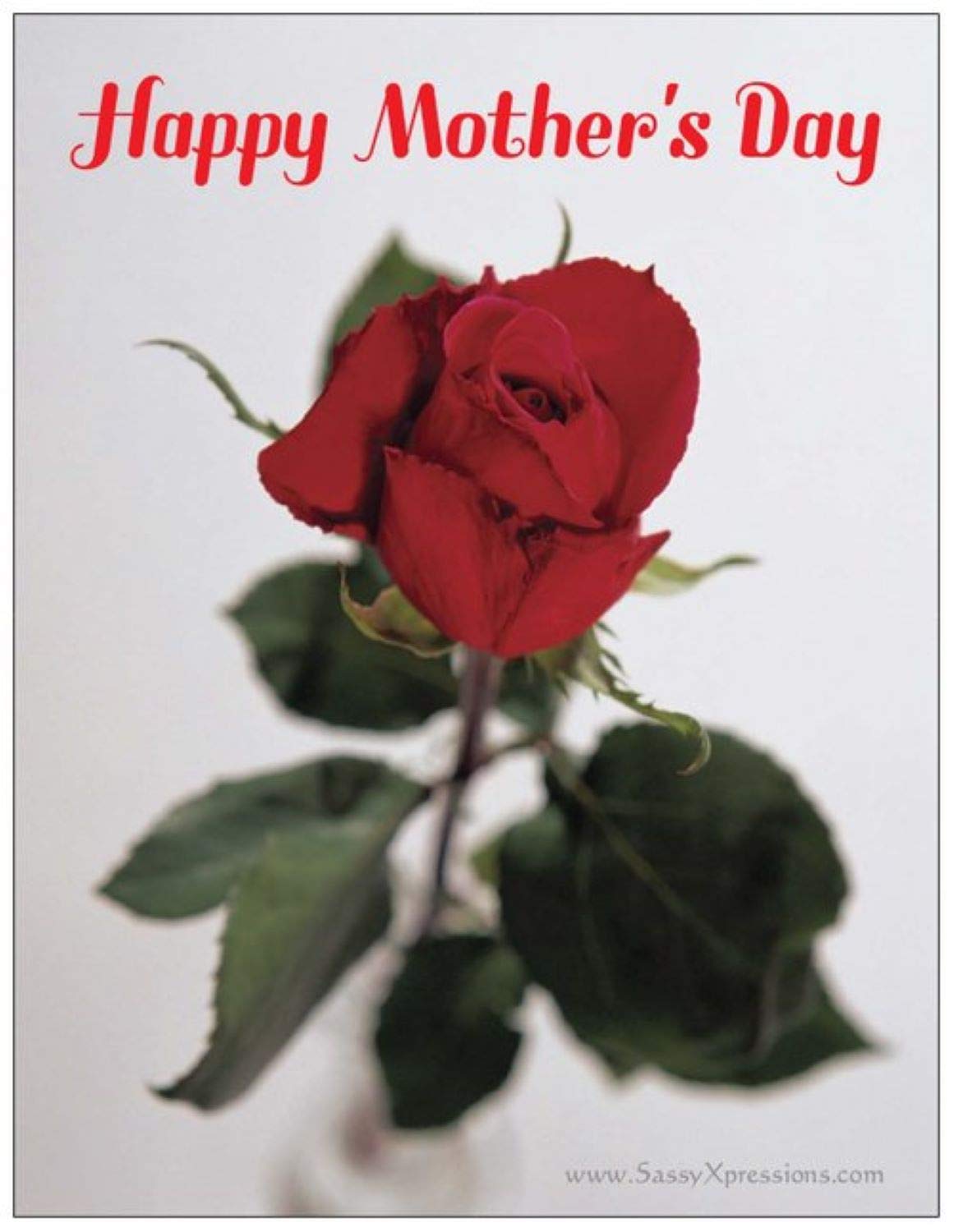 Beautiful Rose Refrigerator Magnet - Perfect Mother's Day Gift - Elegant Floral Fridge Decor for Kitchen, Office & Home Use