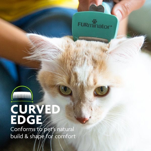 FURminator Small Cat Deshedding Tool for Short Hair - Reduce Shedding & Hairballs, Gentle Grooming Brush for Indoor Cats - Perfect for Daily Brushing & Coat Maintenance