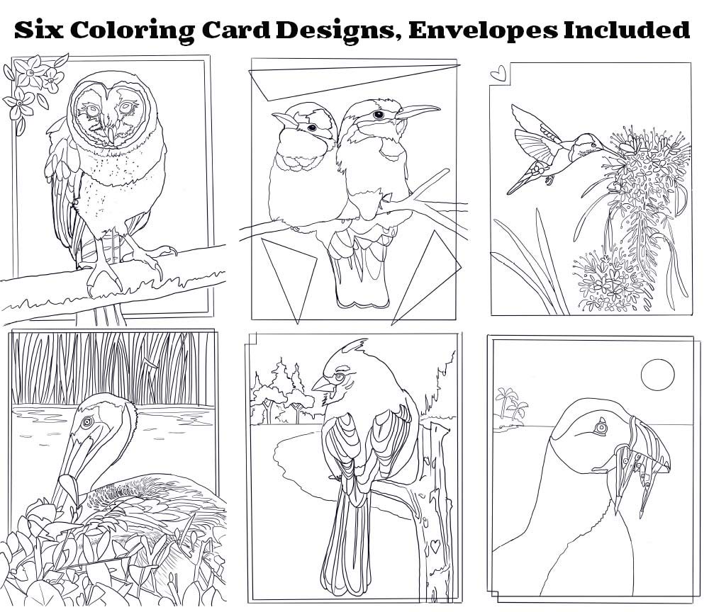 Davis Industries Adult Coloring Cards Set - 6 Unique Bird-Themed Greeting Cards with Envelopes | Relaxing Art Therapy for Stress Relief & Mindful Gifts