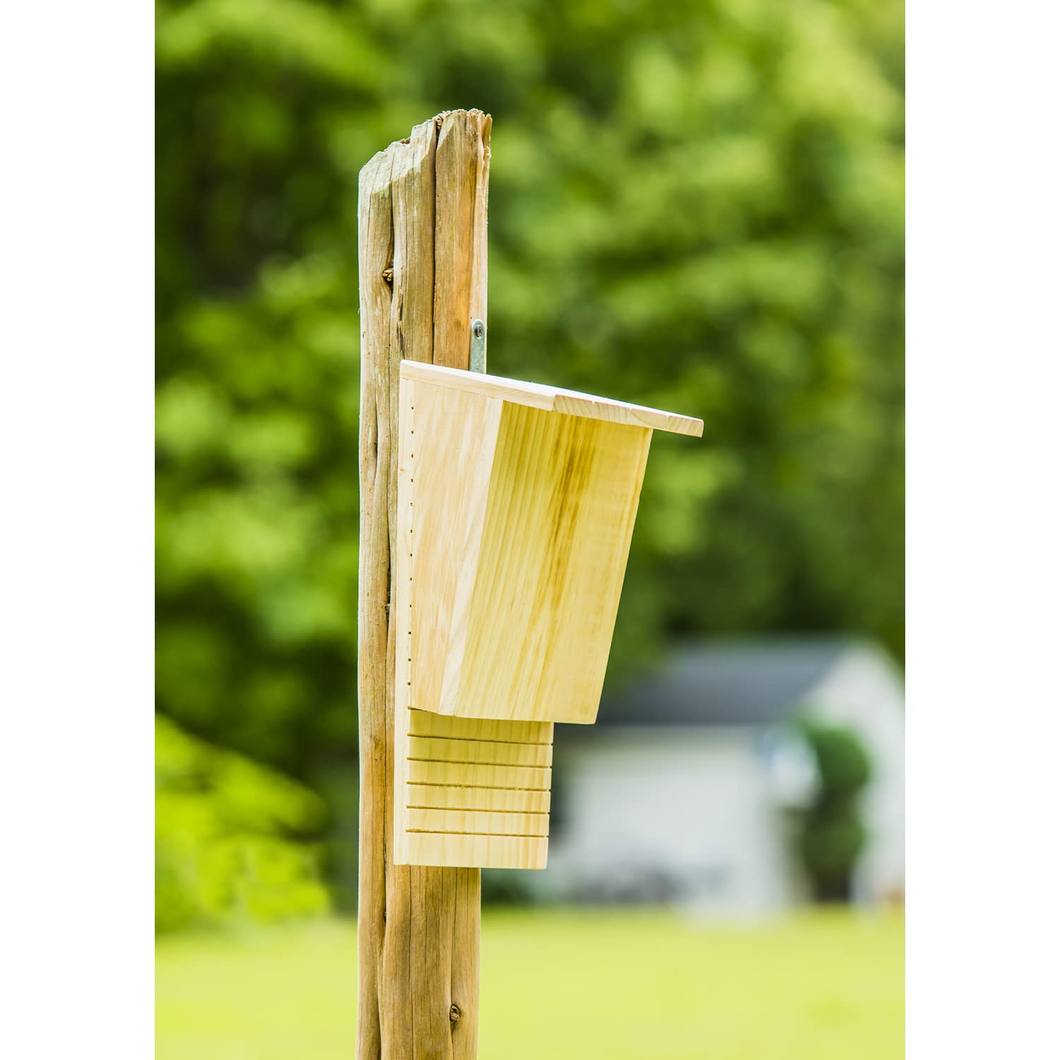 Evergreen Natural Wooden Bat House for Outdoor Pest Control - Eco-Friendly Bat Shelter for Gardens & Backyards - Attract Bats Naturally to Reduce Mosquitoes
