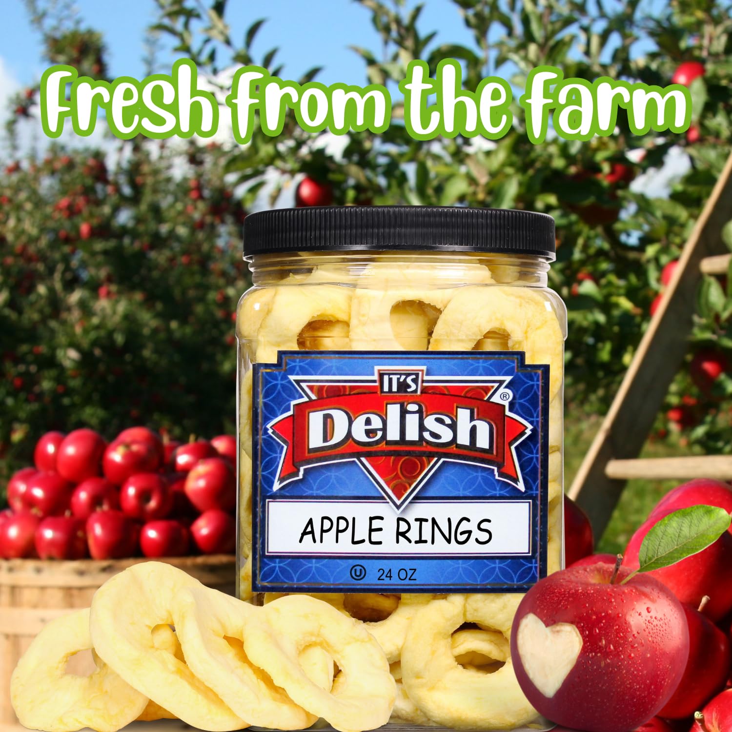 Unsweetened Dried Apple Rings by Its Delish - 24oz Jumbo Pack | No Sugar Added, Vegan & Kosher Certified | Soft Moist Apple Slices for Healthy Snacking | Perfect for Lunchboxes, Hiking & On-the-Go Nutrition