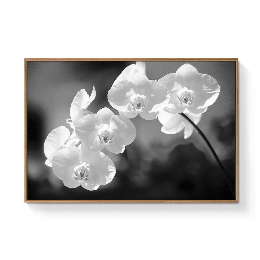 Floating Framed Canvas Wall Art - Black Flower Print 24x36 Inches, Ready to Hang for Living Room & Bedroom Decor | Modern Home Decoration & Office Wall Art