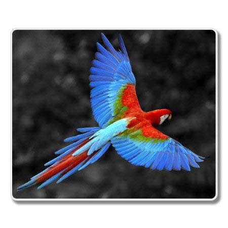 Carframes18 Red Macaw Vinyl Sticker - Waterproof Decal for Car Windows, Bumpers, Laptops & More | Perfect for Cars, Trucks, Laptops, Water Bottles & DIY Projects