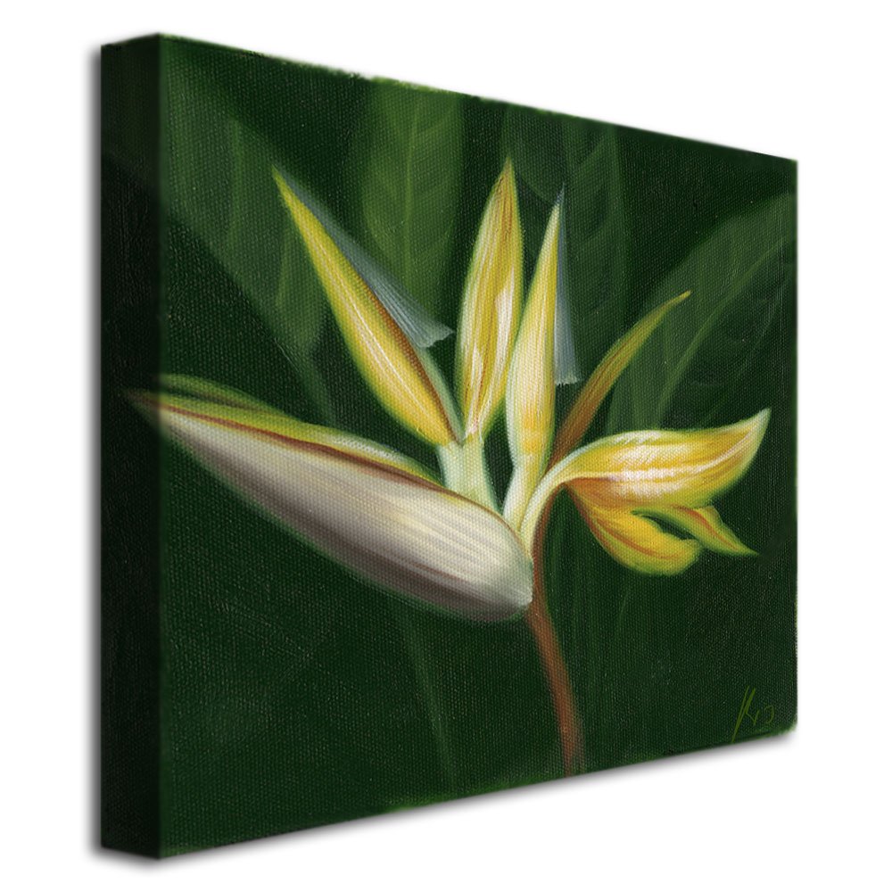 Trademark Art MA078-C1824GG Lilies Canvas Wall Art - Hand Painted Floral Home Decor for Living Room, Bedroom & Office