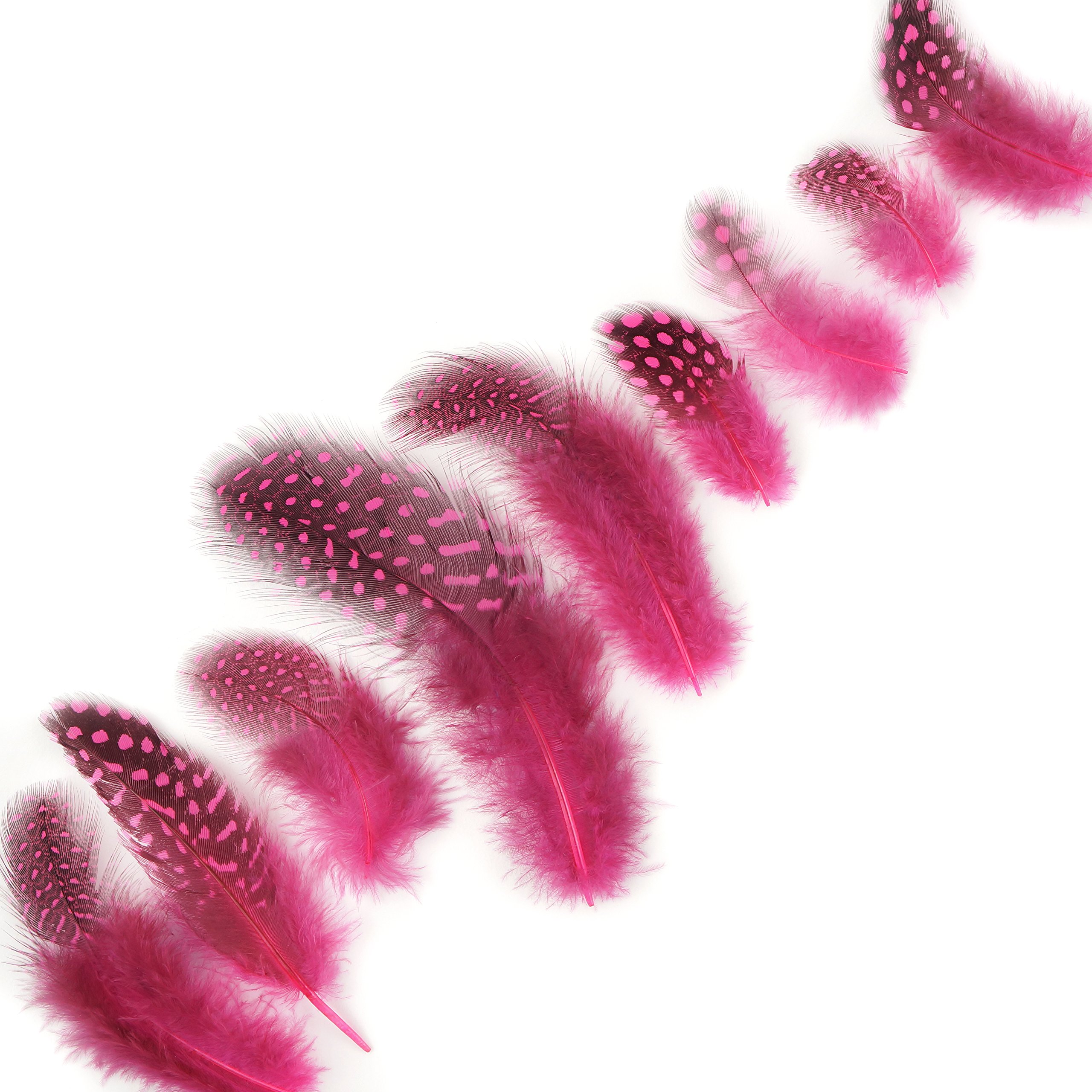 ZUCKER™ Guinea Plumage - Pink Oriental Feathers for DIY Crafts, Home Decor, and Costume Accessories
