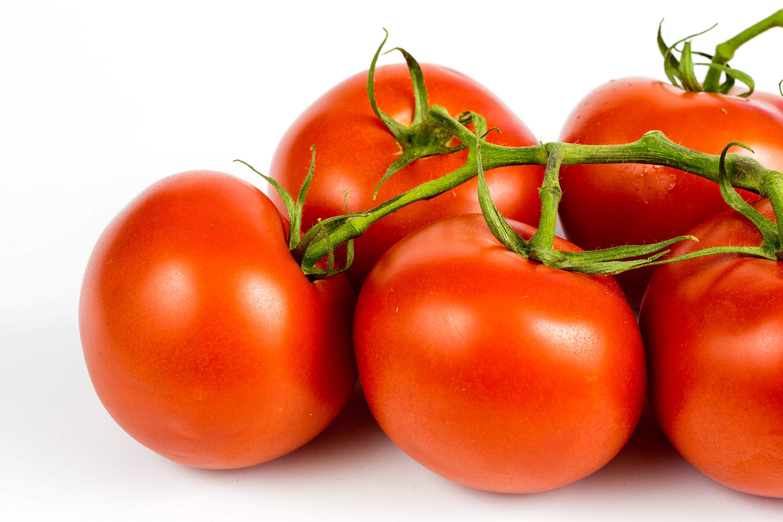 Ace 55 VF Tomato Seeds - Bulk 100 Seeds per Packet - Low Acid Variety - Vigorous Growth - Perfect for Home Gardening, Canning & Fresh Salads