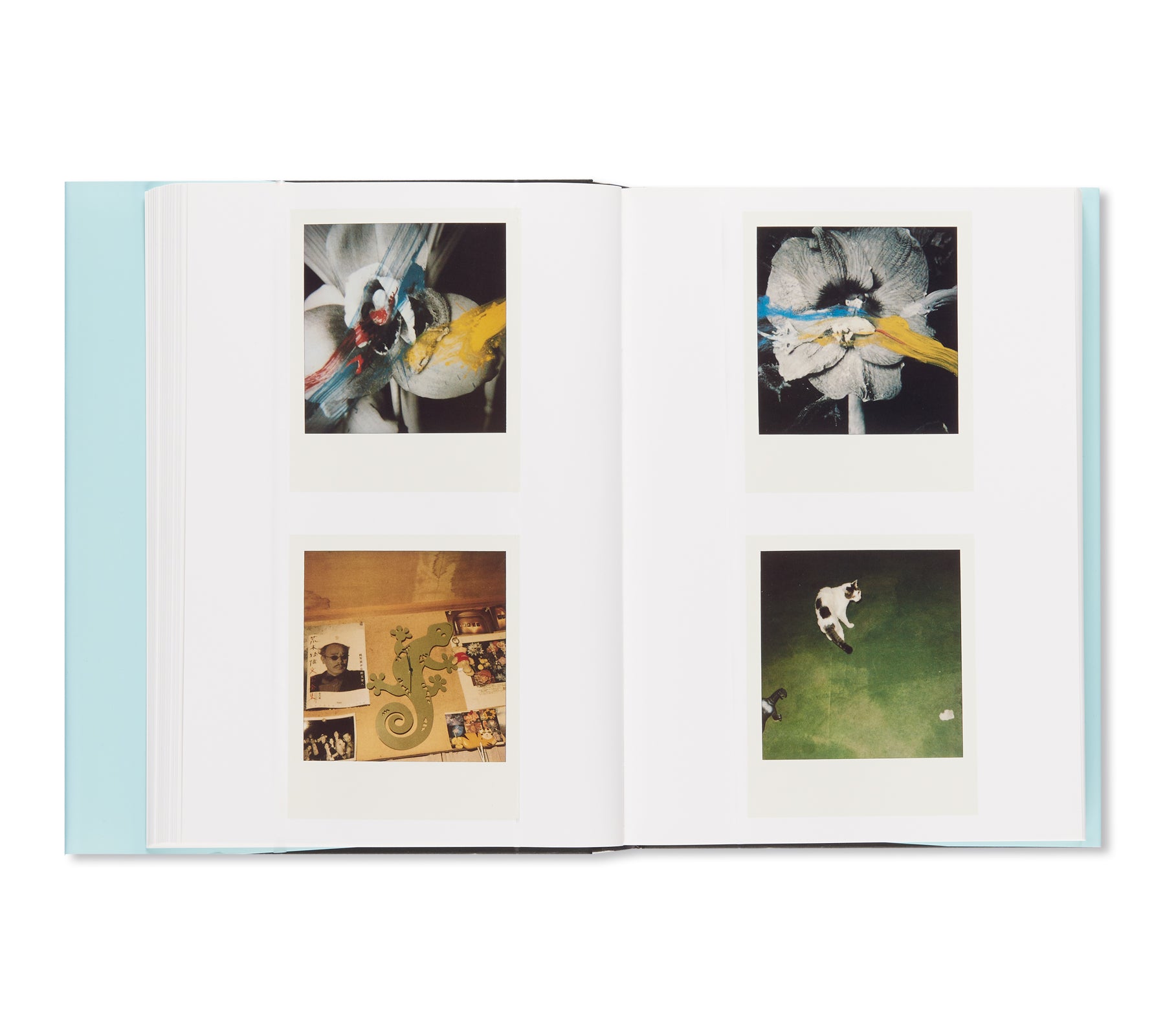 POLART by Nobuyoshi Araki - Japanese Contemporary Art Photography Book for Collectors | Perfect for Home Decor, Art Lovers & Photography Enthusiasts