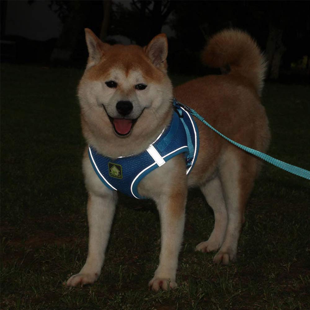 Leconpet Step-in Dog Harness with Leash Set - Breathable Mesh Reflective Vest for Small & Medium Dogs & Puppies (Blue, XS) - Perfect for Walking, Training & Outdoor Adventures