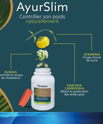 Himalaya Ayurslim Herbal Weight Loss Capsules - 120 Count | Natural Fat Burner & Metabolism Booster for Healthy Weight Management | Perfect for Daily Wellness Routine & Fitness Goals