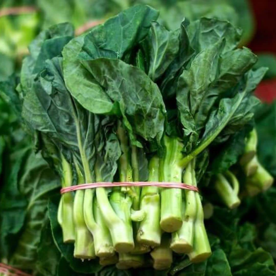 Chinese Broccoli Seeds - 1000 Open Pollinated Kai Lan/Gai Lan (Brassica Alboglabra) for Home Gardening & Asian Cooking