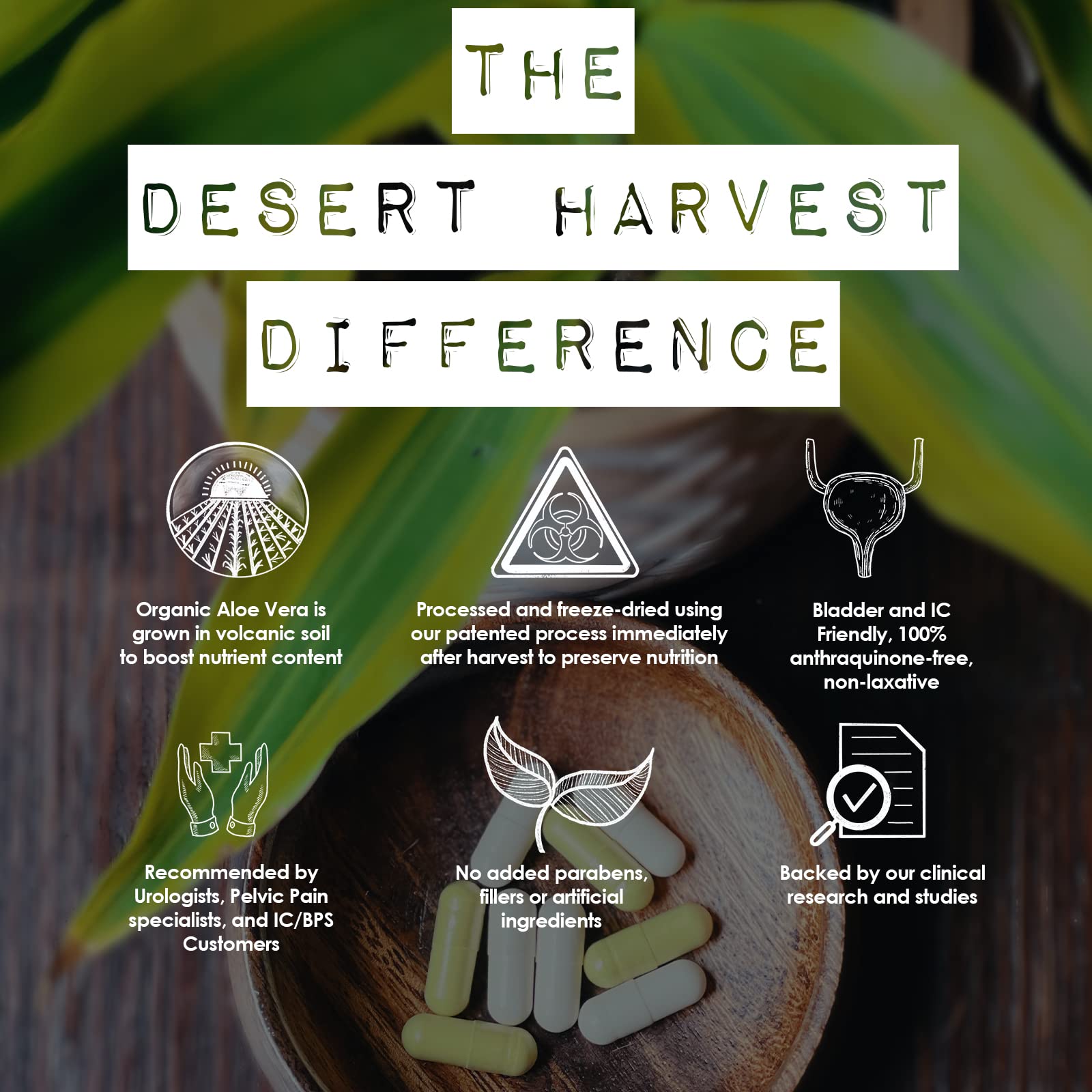 Desert Harvest Aloe Fresh Moisturizing & Cleansing Personal Wipes | pH Balanced Feminine Hygiene Towelettes | 36 Count Pack | Gentle for Sensitive Skin & On-the-Go Freshness