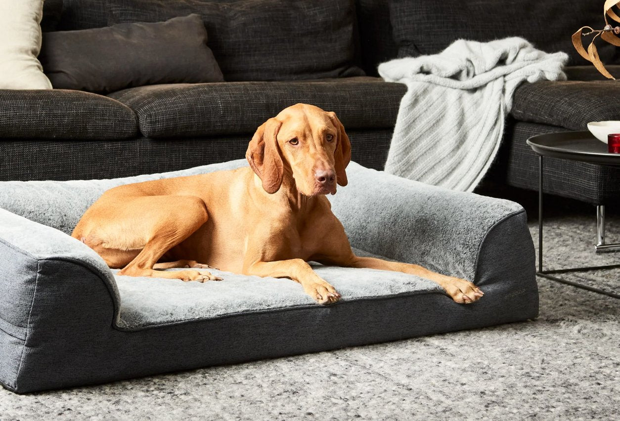 Ortho Dream Sofa - Premium Chinchilla Fabric, 2 Size Options (Small & Large) - Perfect for Living Room, Bedroom, or Home Office Comfort