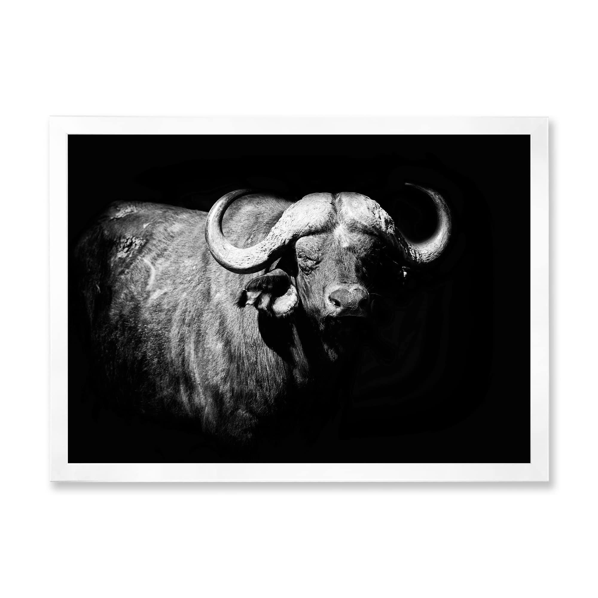 DesignQ Black and White Buffalo Portrait - Farmhouse Style Framed Wall Art Decor for Living Room, Bedroom & Office
