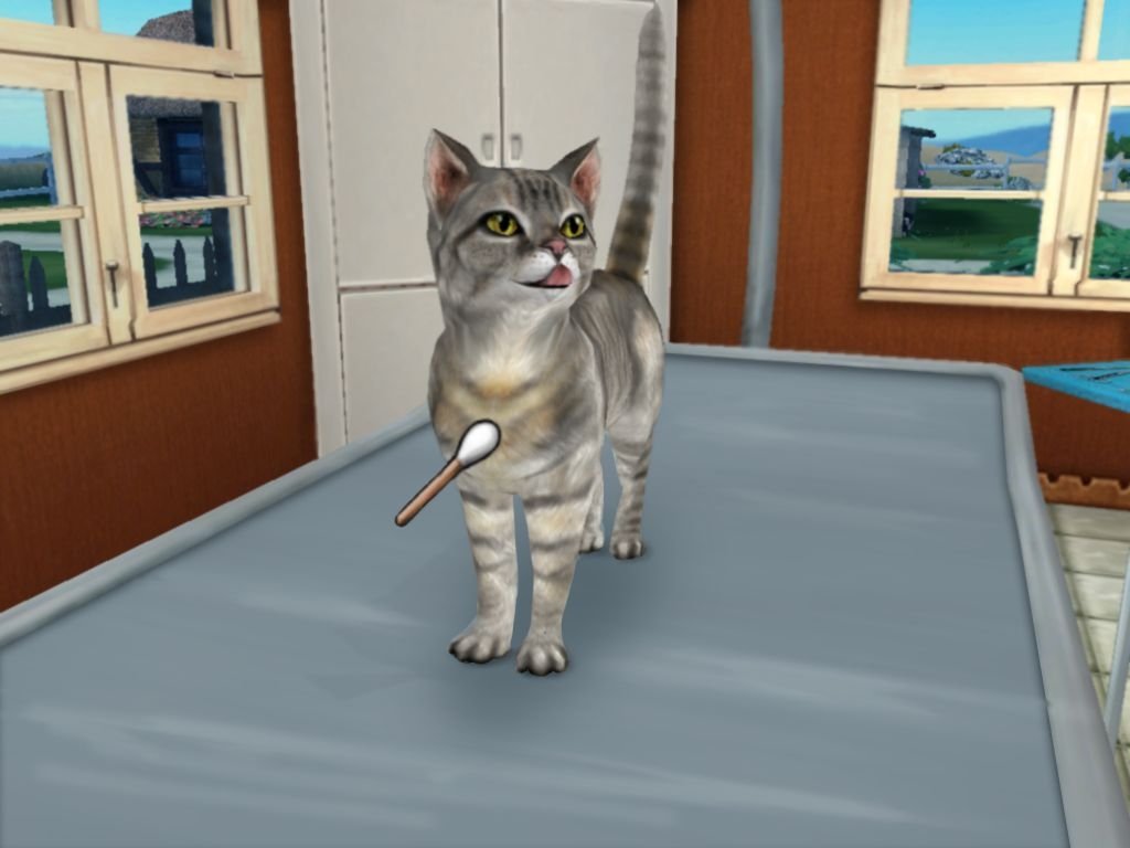 Paws And Claws Pet Vet - Nintendo Wii Game for Kids | Virtual Pet Care & Animal Doctor Simulation | Fun Family Game Night Activity