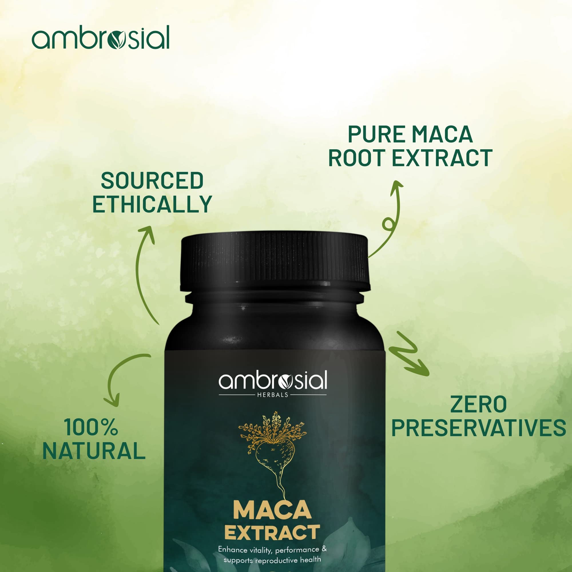 Premium Maca Root Capsules 500mg - Natural Energy & Stamina Booster for Women & Men - 60 High Strength Vegan Pills - Supports Workout, Focus & Daily Vitality - Perfect for Gym, Office & Active Lifestyle
