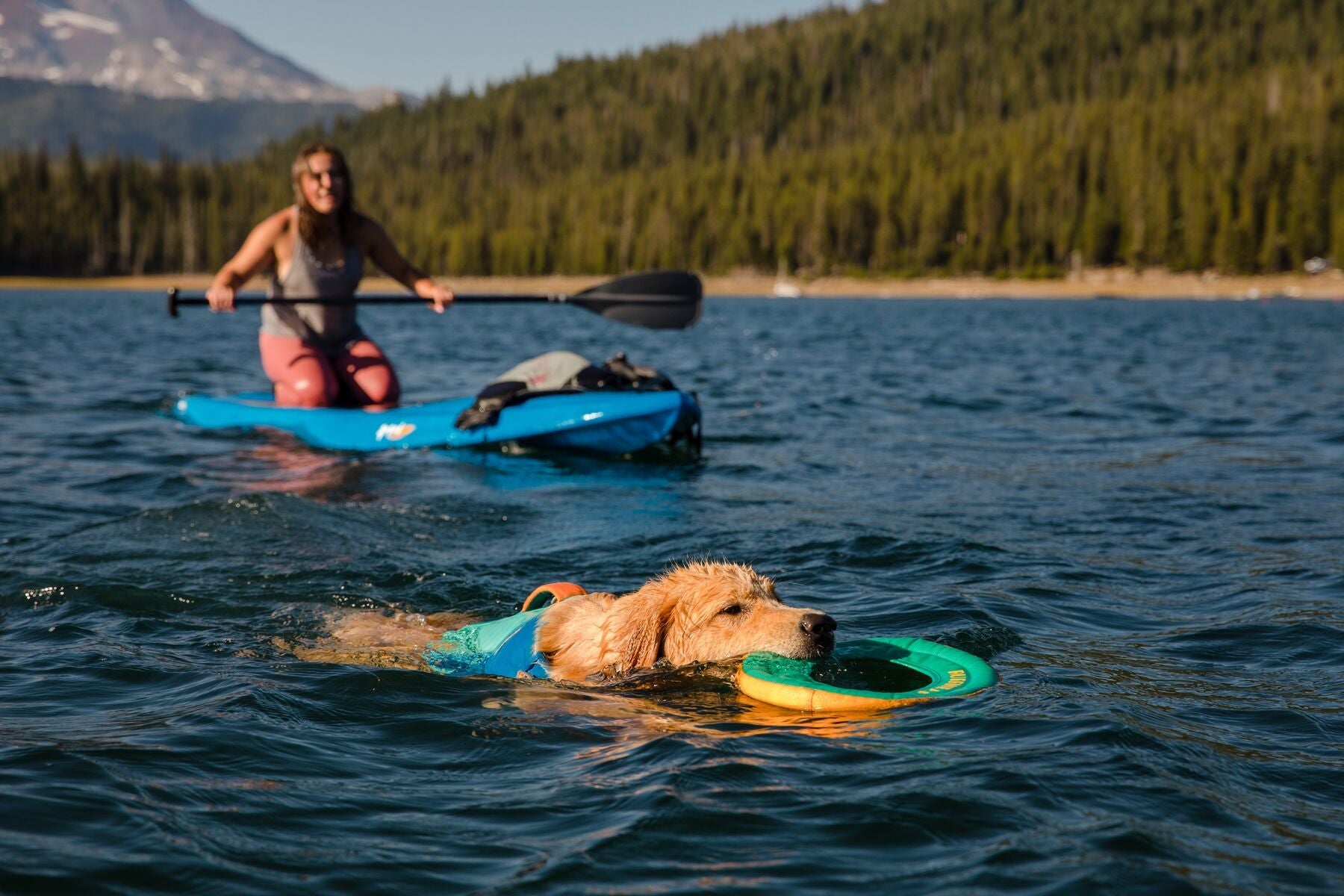 Hydro Plane™ Bioluminescent Blue Floating Dog Disc - Water Fetch Toy for Dogs - Ruffwear® - Perfect for Beach, Pool & Outdoor Play