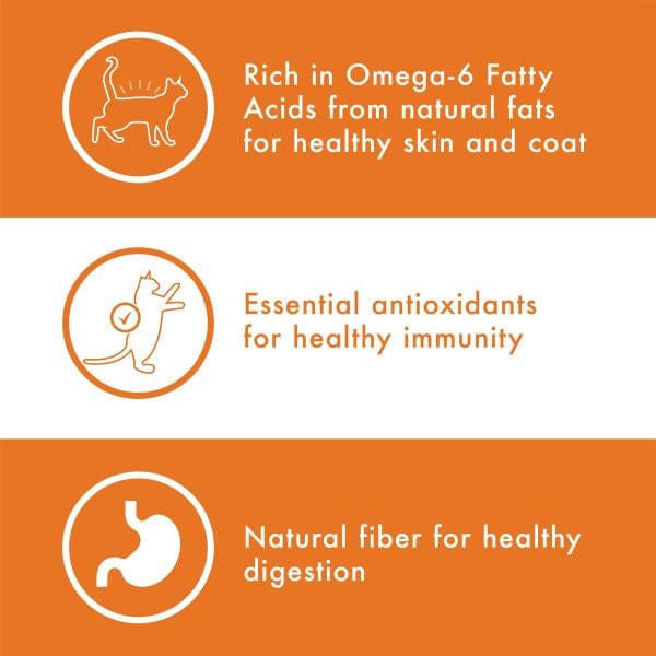 Nutro Wholesome Essentials Adult Dry Cat Food with Chicken & Brown Rice - 5lb Bag for Healthy Digestion & Shiny Coat - Perfect for Indoor & Outdoor Cats