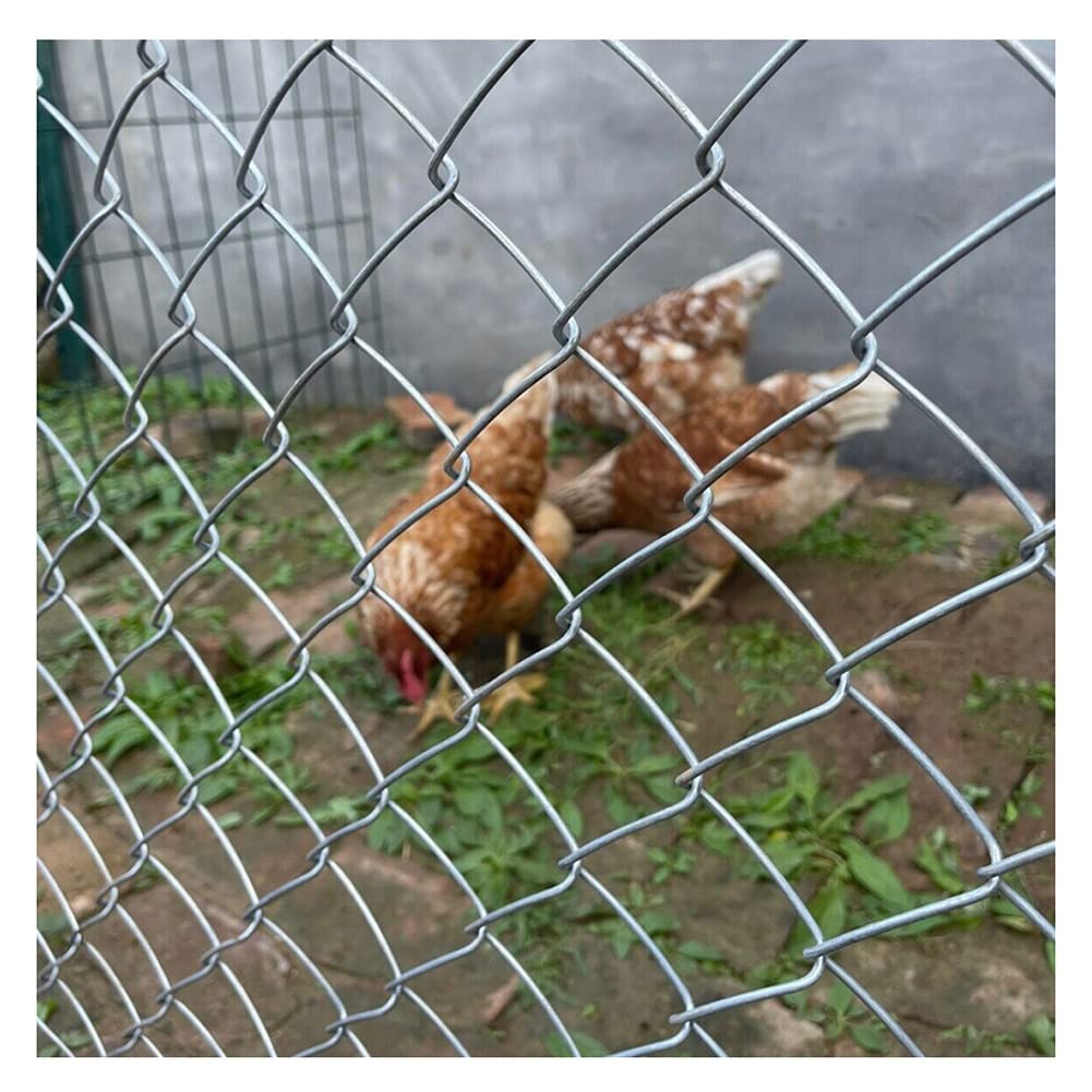 Galvanized Chicken Wire Mesh Fence 2mm Diameter - 1.2x30m Poultry Netting for Chicken Coop, Rabbit Hutch, Dog & Cat Enclosure, Vegetable Garden Protection (Silver) - Durable Outdoor Animal Fencing Solution
