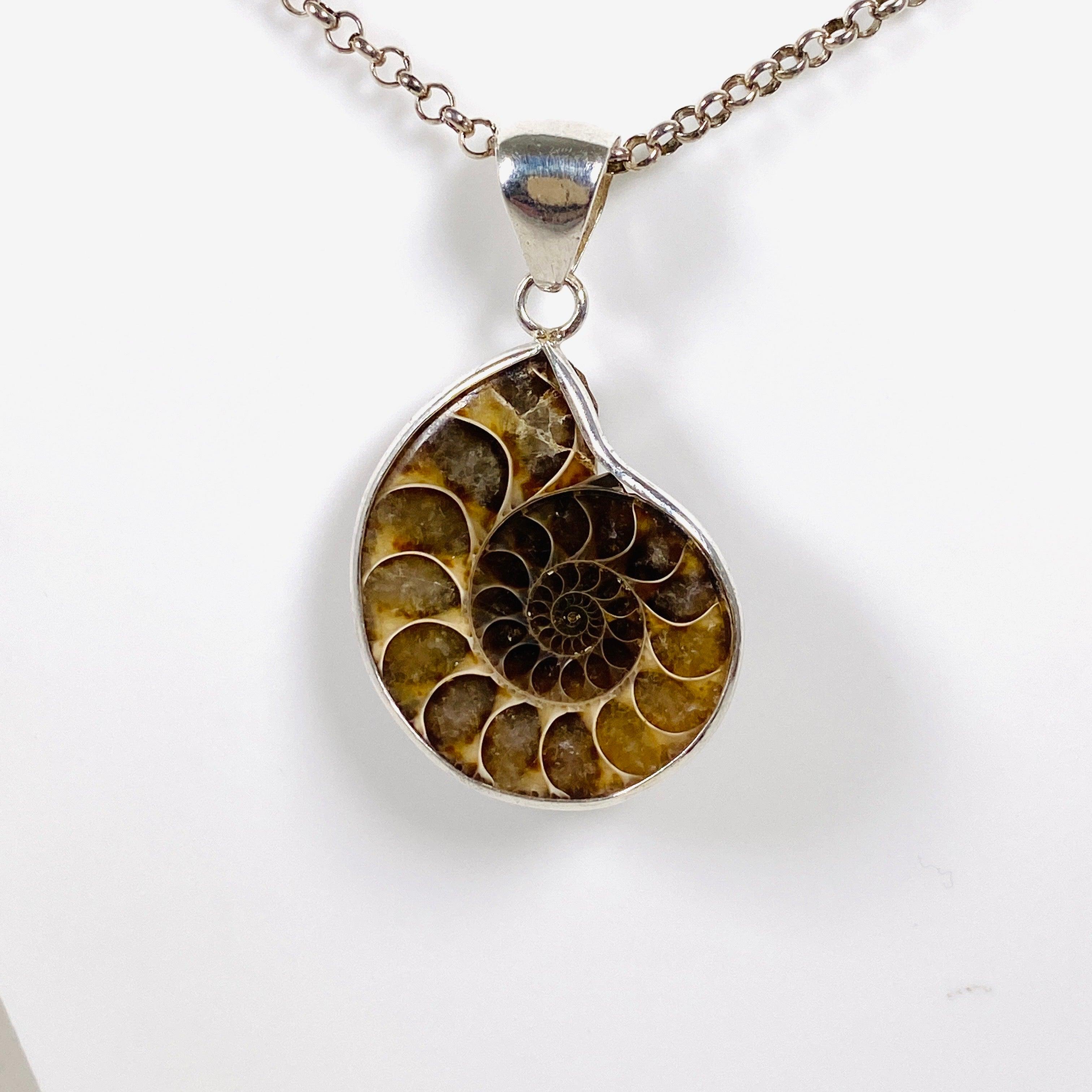 Natural Ammonite Shell Pendant Necklace - Unique Fossil Jewelry for Women & Men - Perfect for Boho Style, Spiritual Healing & Gift Giving