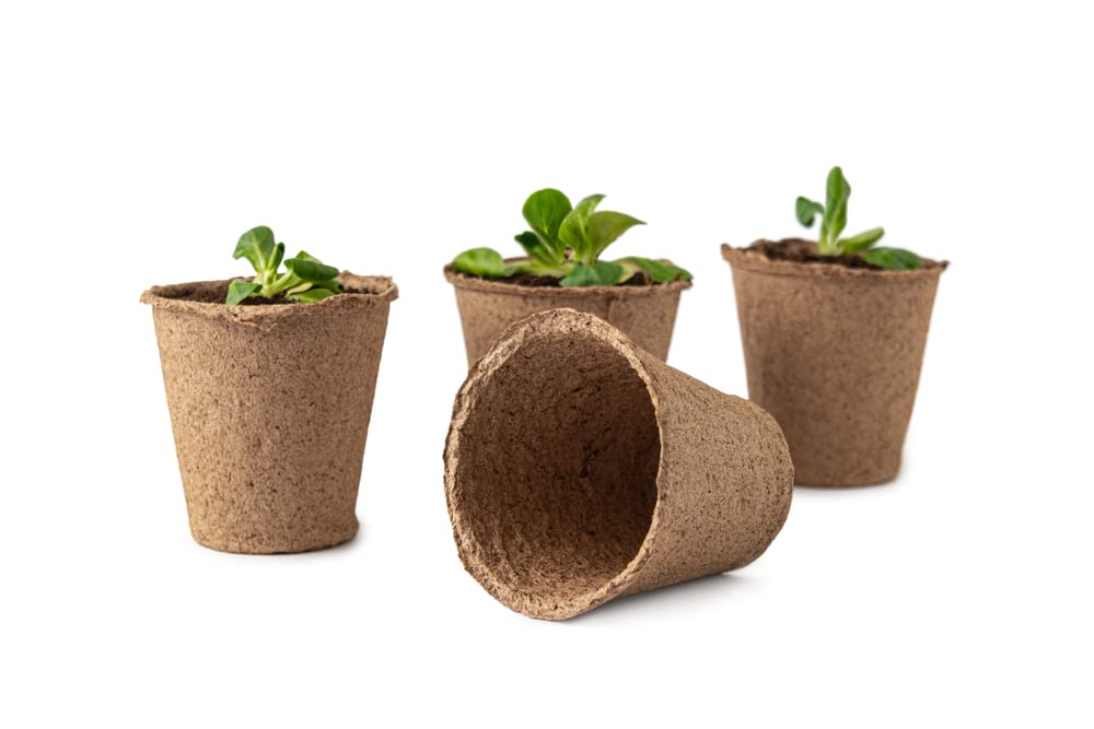 3 Inch Biodegradable Starter Pots - 20 Pack Eco-Friendly Plant Containers for Herbs, Trees, Vegetables, Bonsai & Fruit Seedlings - Perfect for Indoor Gardening, Greenhouses & Home Nursery