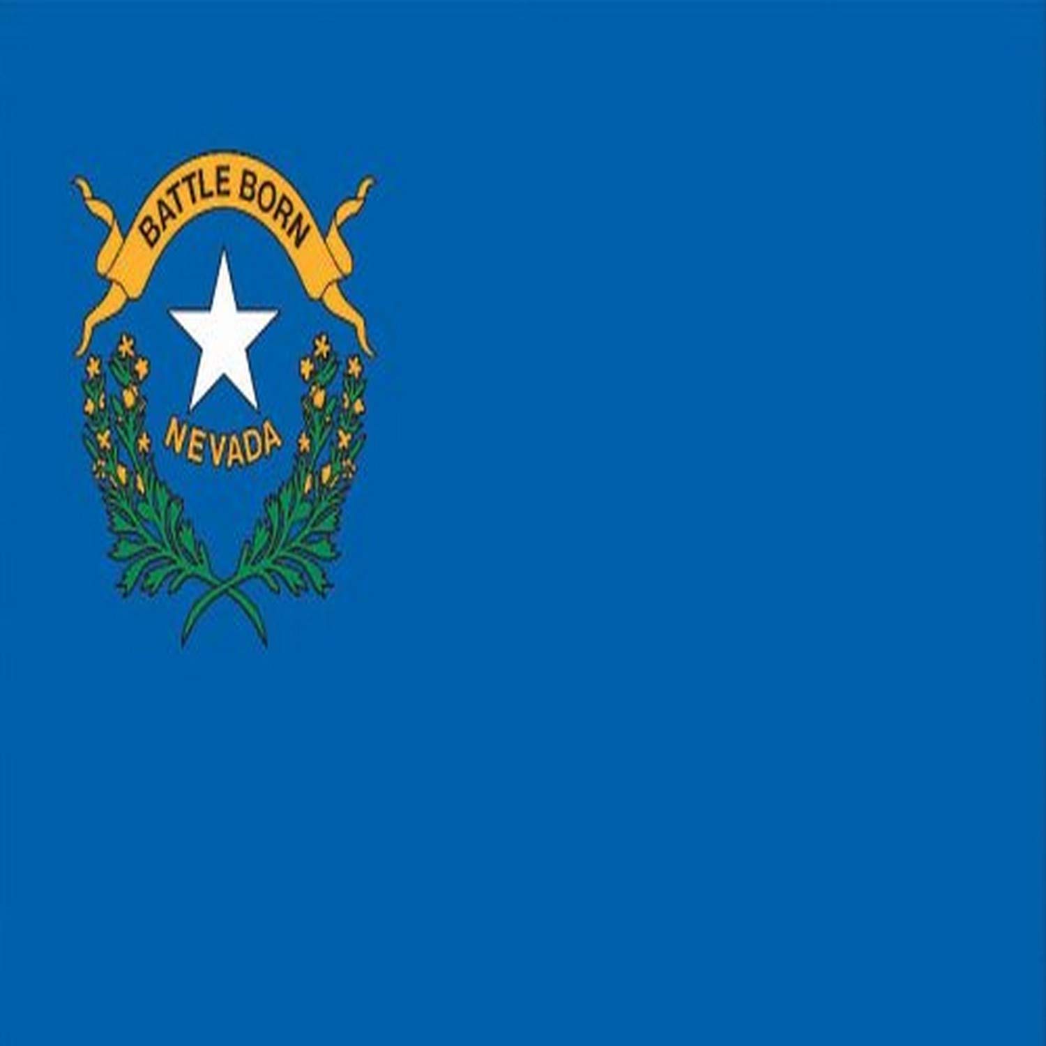 Valley Forge American-Made 3x5 Feet Nylon Nevada State Flag - Perfect for Outdoor Decor, Government Buildings & Patriotic Events