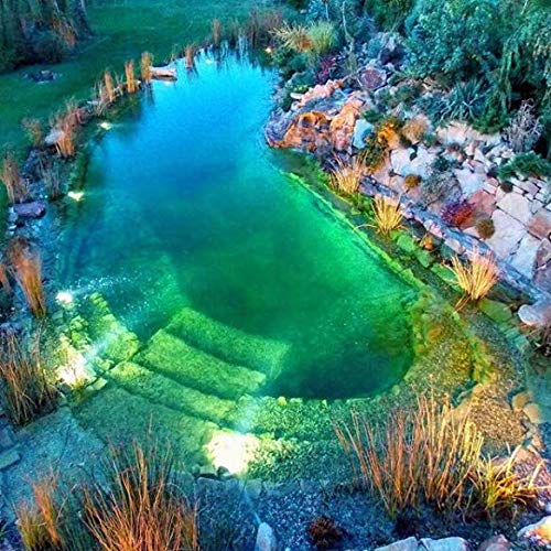 IMAGE Pond Lights - IP68 Waterproof Submersible LED Lights with 48 Multicolor Bulbs & Timer - Perfect for Pools, Fish Tanks, Fountains & Outdoor Water Features | Create Stunning Underwater Lighting Effects
