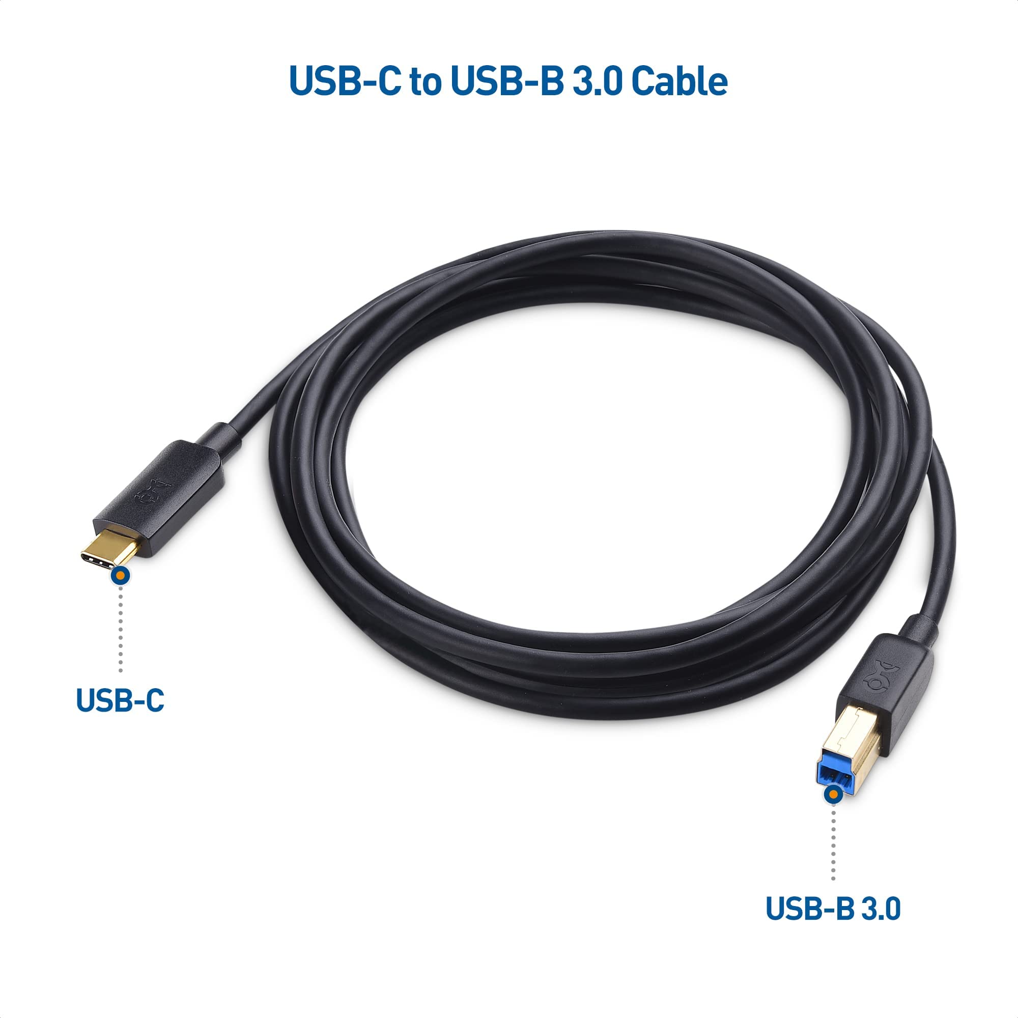 Cable Matters USB-C to USB B 3.1 Gen 2 Cable (6.6ft Black) & USB C to USB Adapter - High Speed Data Transfer for Printers, Scanners, Audio Interfaces & Studio Equipment