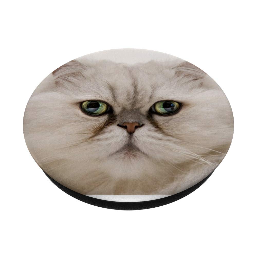 Persian Cat Pop Phone Grip - Swappable PopSocket for Phones & Tablets | Perfect for Selfies, Videos, and Secure Holding